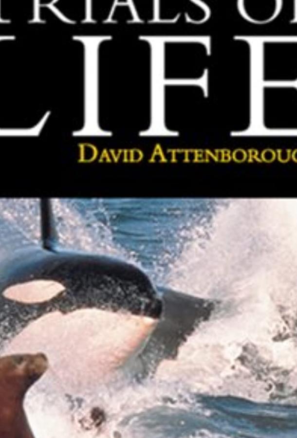 BBC: Борьба за выживание 1 сезон