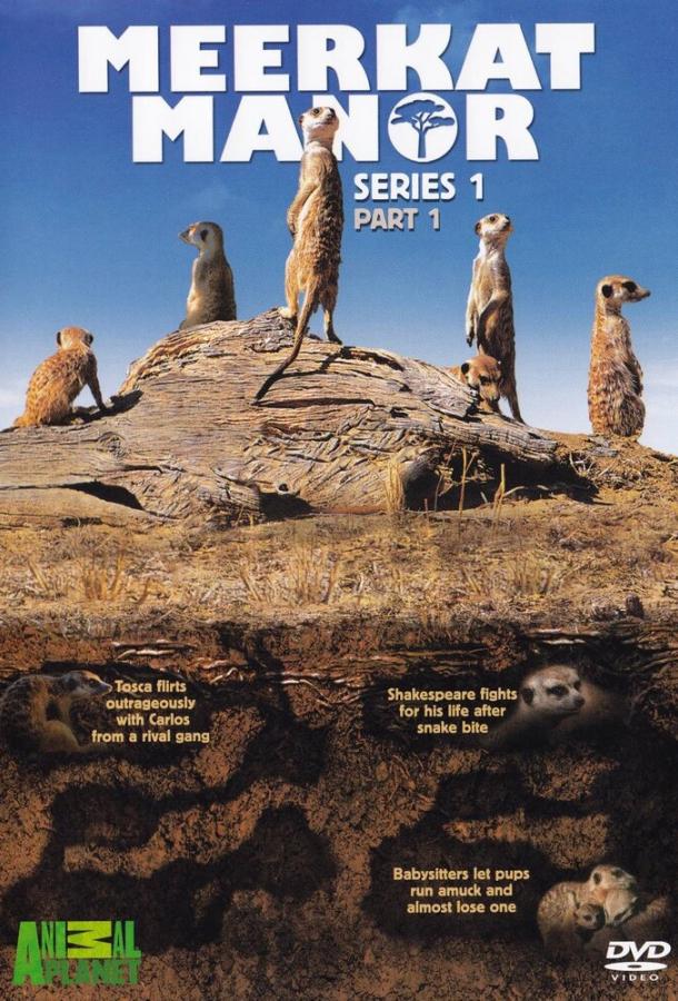 Поместье сурикат 1,2,3,4 сезон